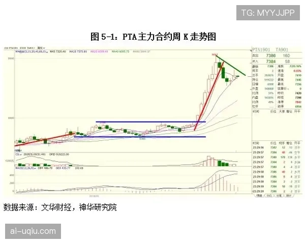 费内巴切赛季中期状态回升，攻防两端展现均衡实力